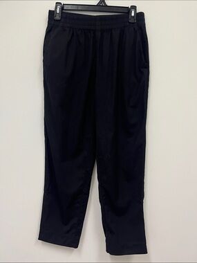 Everlane Elastic waistband 100% wool black ankle pants.  Size 6